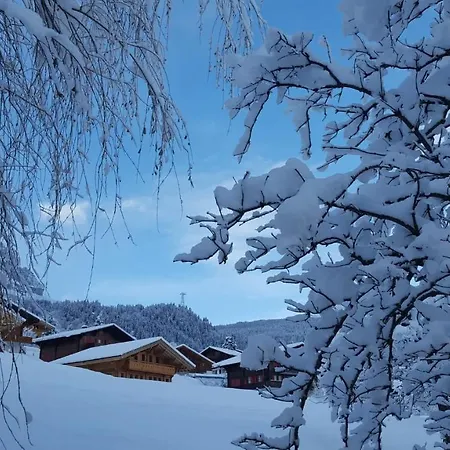 배르지스탈 * 그린델발트
