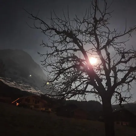 아파트 배르지스탈 *