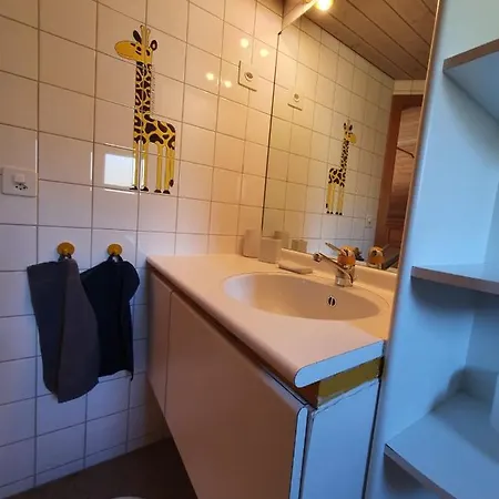 瓦尔基斯特木屋公寓 公寓 *