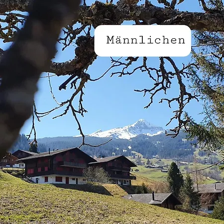 Waergistal Appartamento Grindelwald