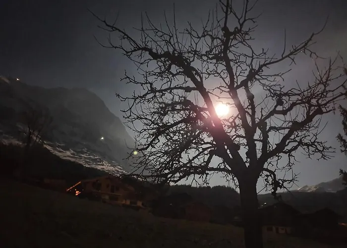 公寓 瓦尔基斯特木屋公寓 *