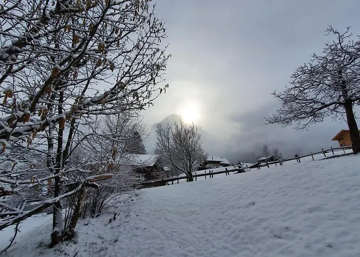 瓦尔基斯特木屋公寓